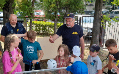 Puszczyk – jak postępować z nielotami oraz inne ważne informacje